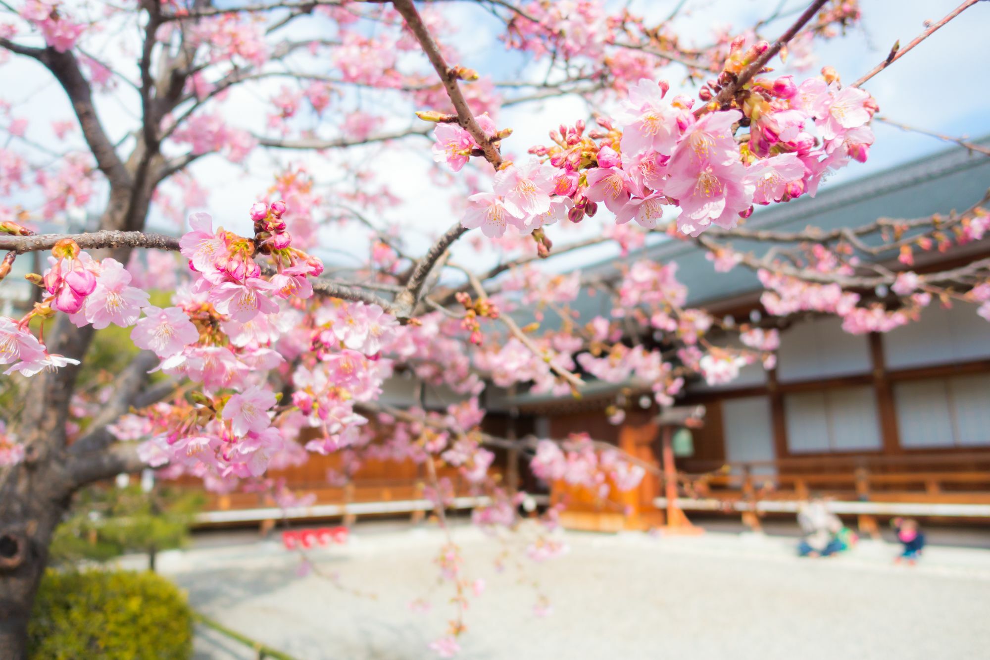 Stay Sakura Kyoto Toji West I 外观 照片